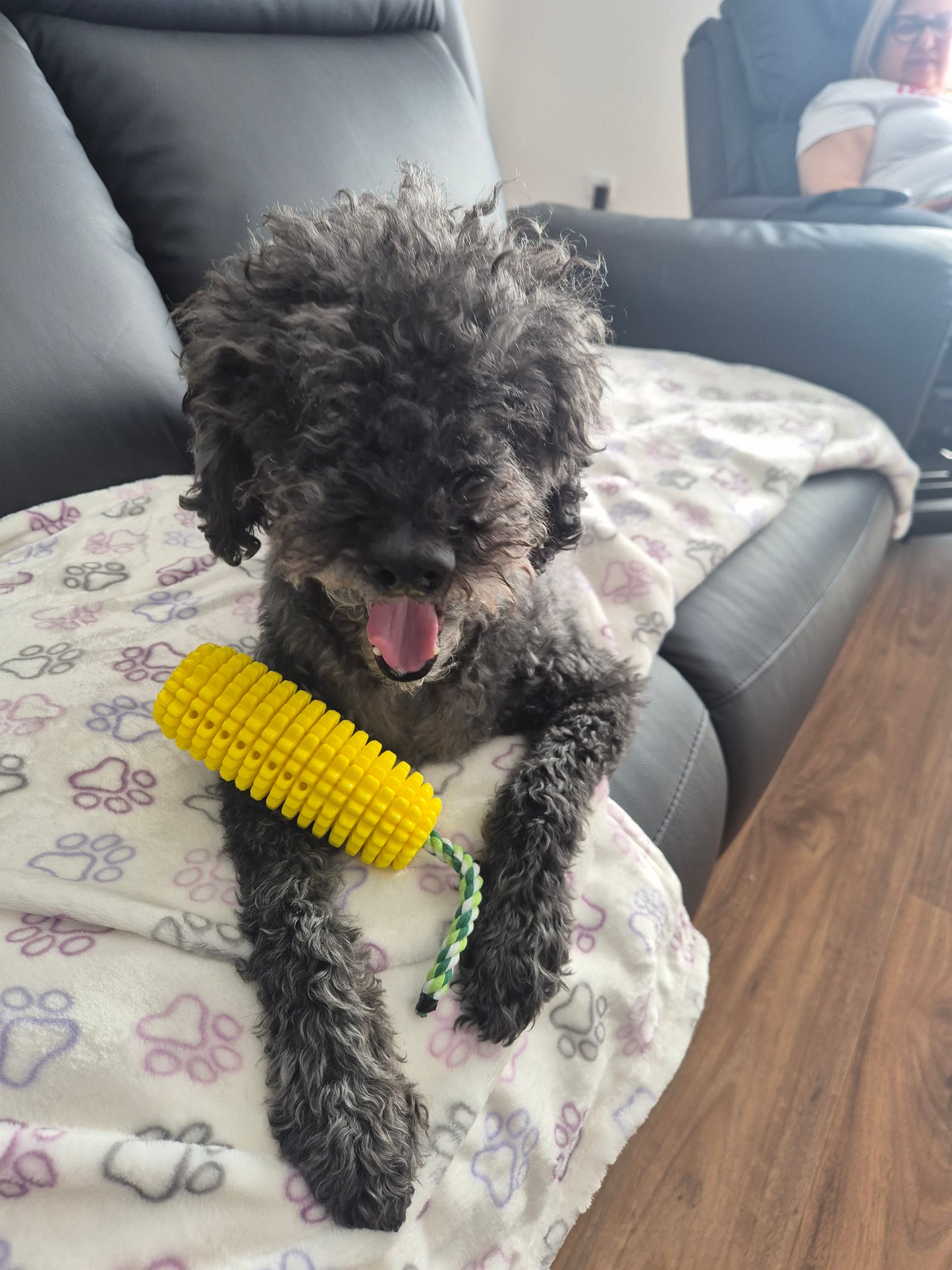 PupperCob