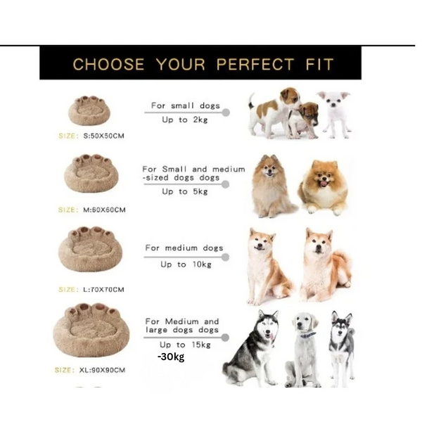 Paws Dog Bed