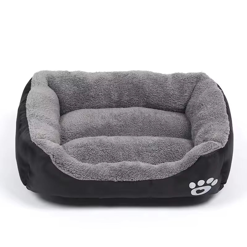 Paw Lounge
