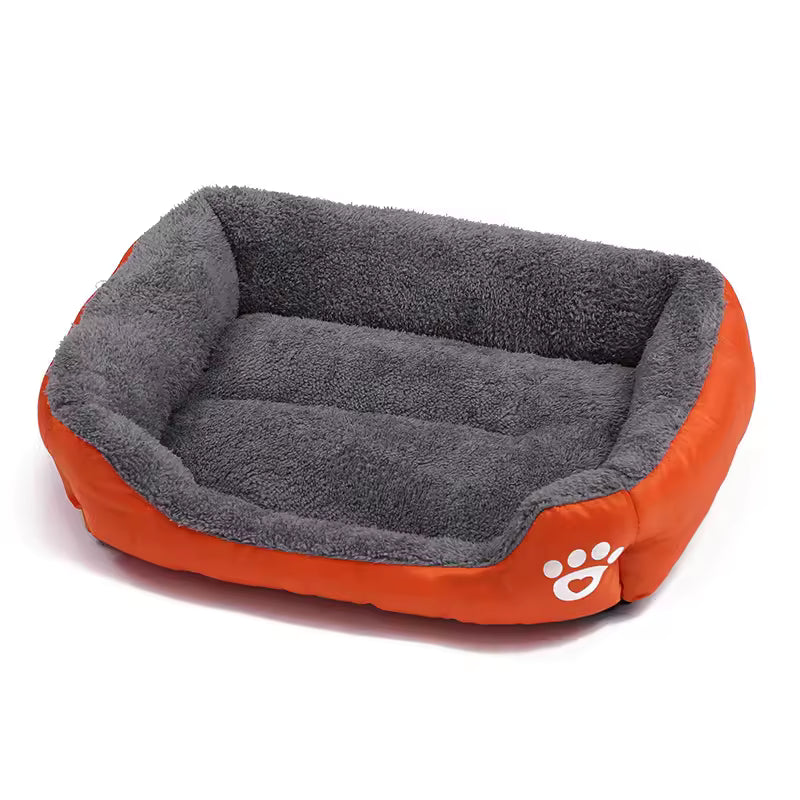 Paw Lounge