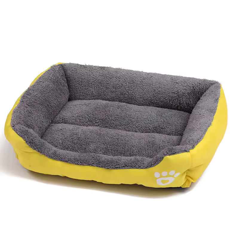 Paw Lounge