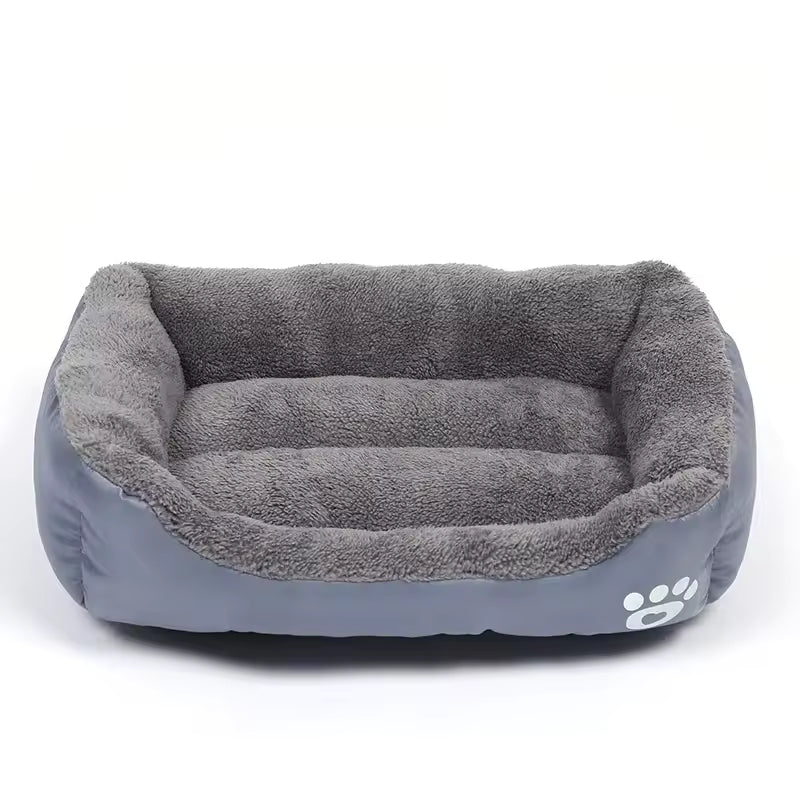 Paw Lounge
