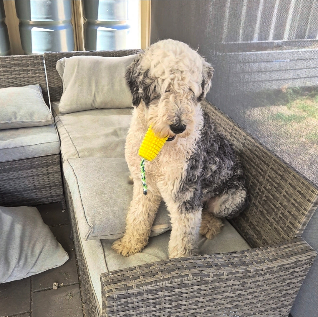 PupperCob