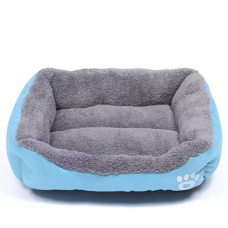 Paw Lounge