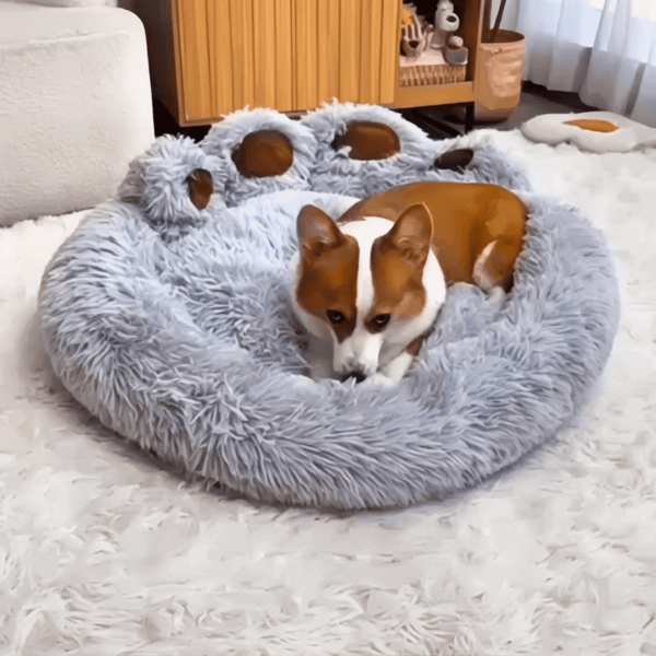 Paws Dog Bed