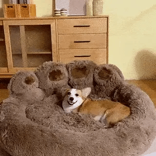 Cozy Paws Pet Lounger
