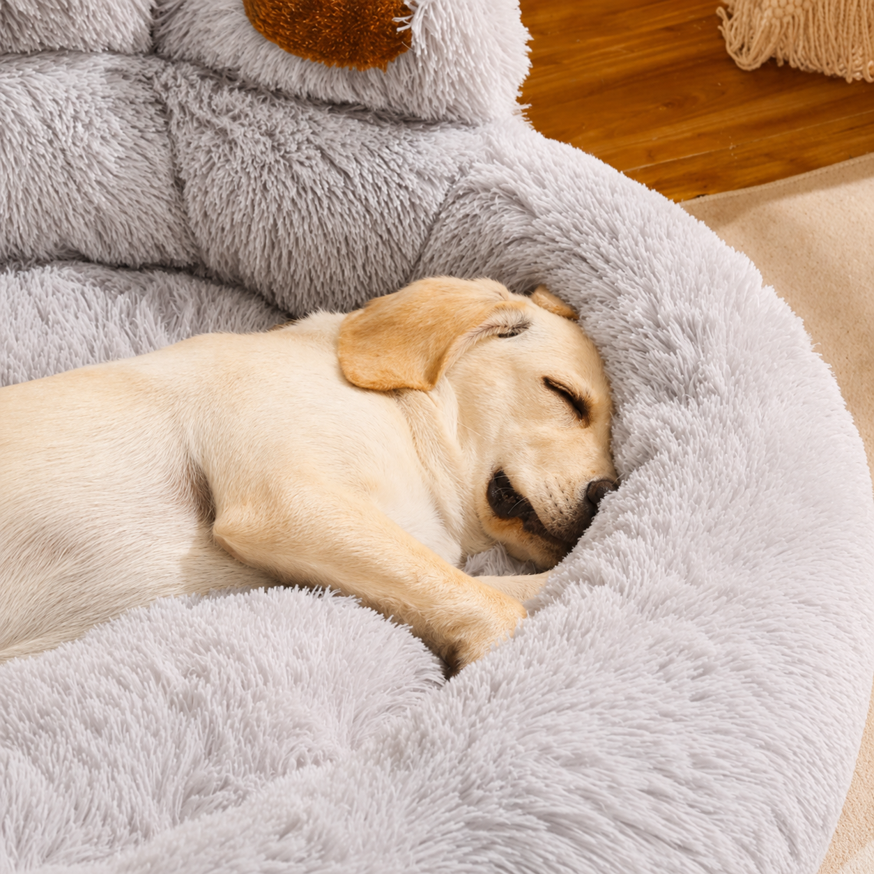 Paws Dog Bed