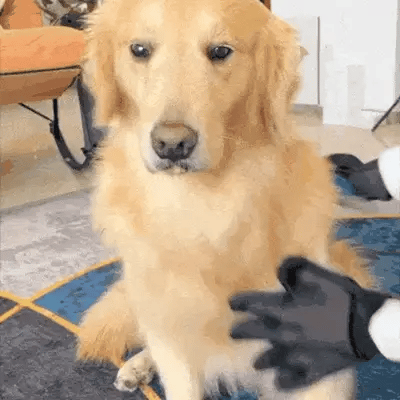 Gentle Pet Grooming Glove