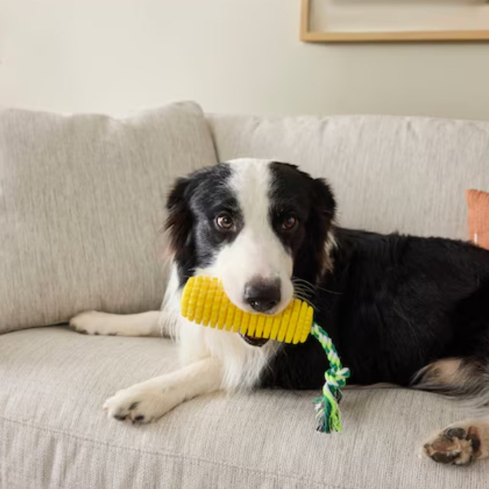PupperCob