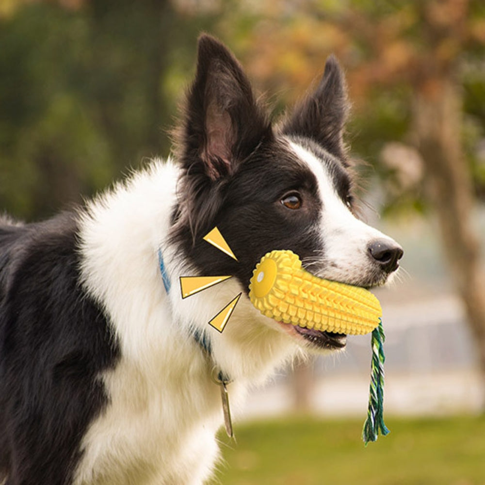 PupperCob