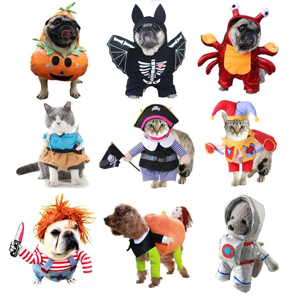 Spooky Pet Costumes