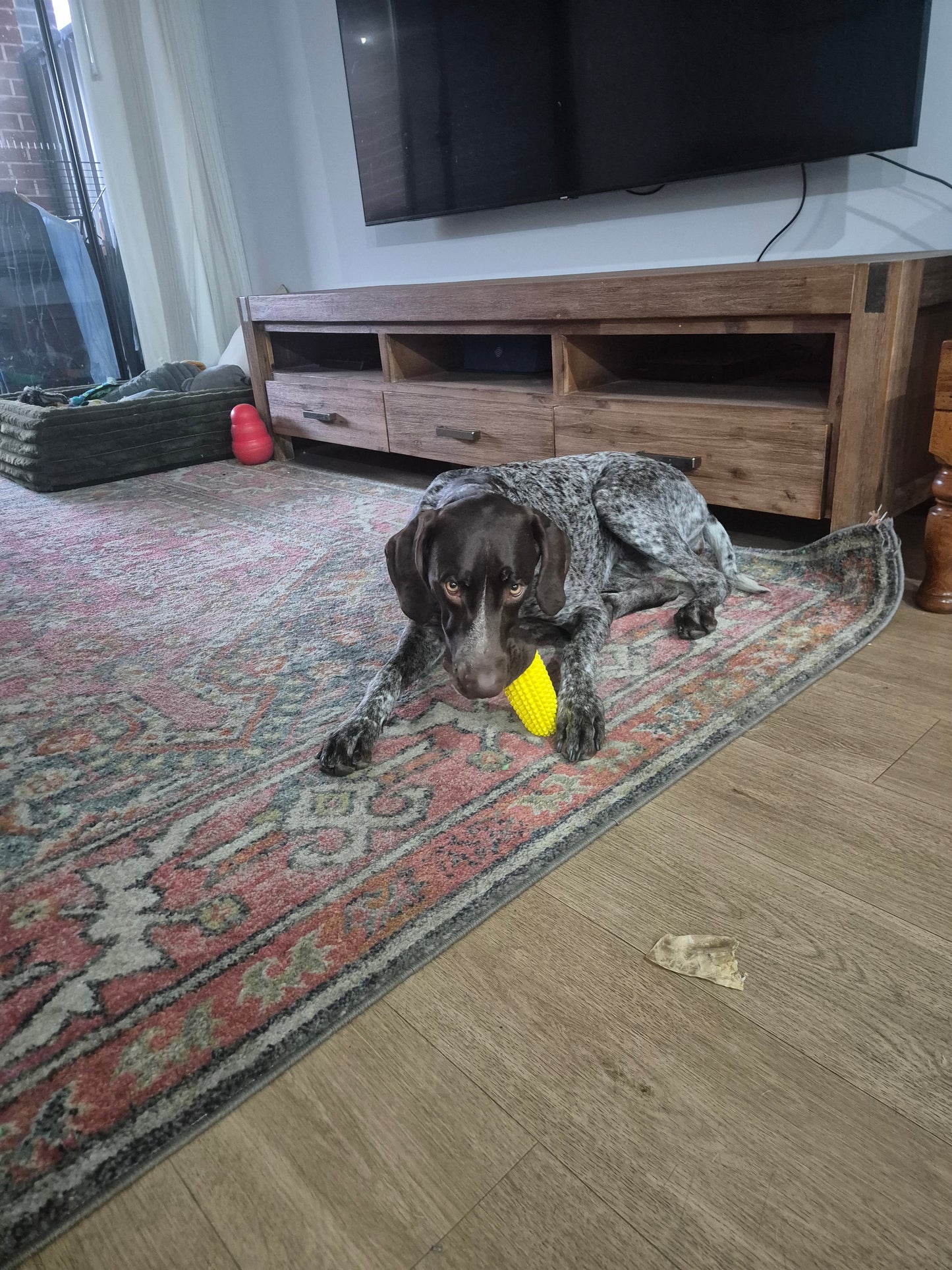 PupperCob